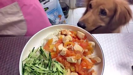"😺 Crazy Funny Cats Doing Weird Things | Cute Cat Compilation 2025 🐾"