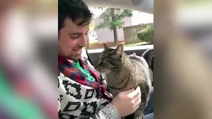 “🐱 Funny Cat Videos Compilation 2025 | Try Not to Laugh Challenge 😂🤣”