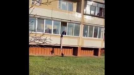 “🤣 Cute & Funny Cats 2025 | Best Cat Fails and Hilarious Moments 🐾”