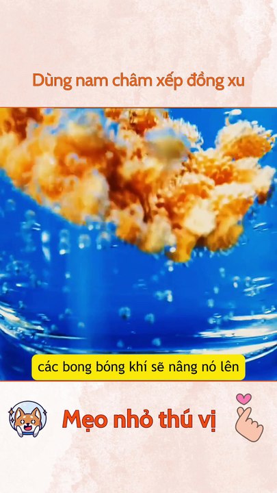 Dùng nam châm xếp đồng xu