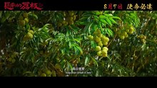 長安的荔枝預告片 THE LYCHEE ROAD Trailer