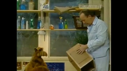 ALF Season 1 Episode 20 "Going Out Of My Head Over You" #English