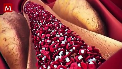 ¿Cuánta azúcar consumes al tomar refresco? Aquí te decimos las consecuencias físicas