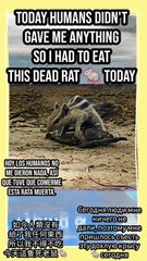 join me on this heartwarming urban adventure!  #Viral #Trending #ForYou #Explore #FYP