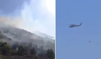 Hakkari Yüksekova'da orman yangını