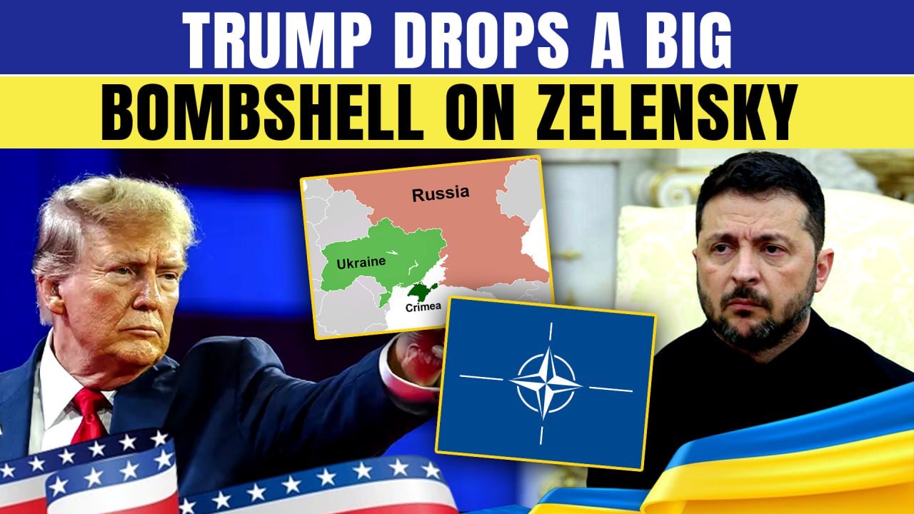 ‘No Crimea & No NATO for Ukraine!’ Trump DECLARES | Zelensky in SHOCK as Trump sides with Putin