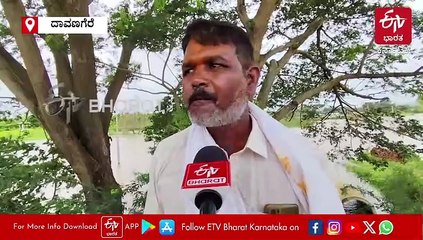 ತುಂಗಾ-ಭದ್ರಾ ಅಣೆಕಟ್ಟೆನಿಂದ ನದಿಗೆ ನೀರು ಬಿಡುಗಡೆ: ಸಾವಿರಾರು ಎಕರೆ ಬೆಳೆ ಜಲಾವೃತ: ಕಣ್ಣೀರಿನಲ್ಲಿ ಕೈ ತೊಳೆಯುತ್ತಿರುವ ರೈತರು