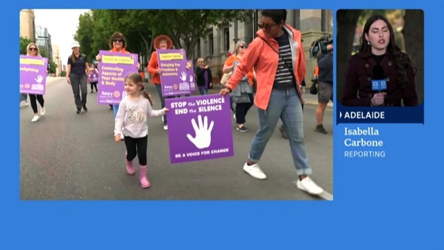 South Australian government releases report into domestic, family and sexual violence