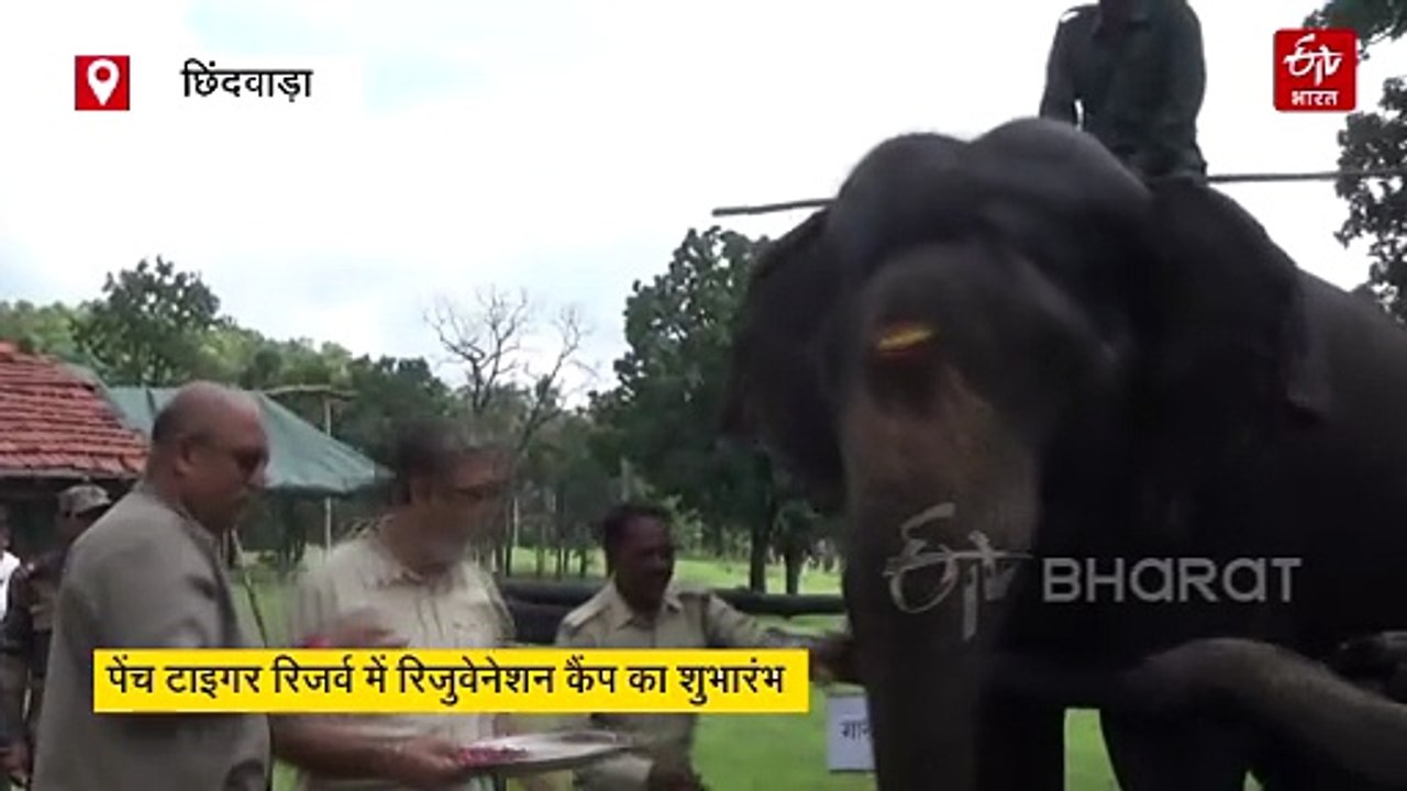 पेंच टाइगर रिजर्व में 7 दिन तक हाथी नहीं करेंगे काम, फुर्सत में मौज करने की पूरी प्लानिंग