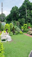 Village girl sat wrong table on blind date, flash married stranger, not knowing he was powerful CEO!