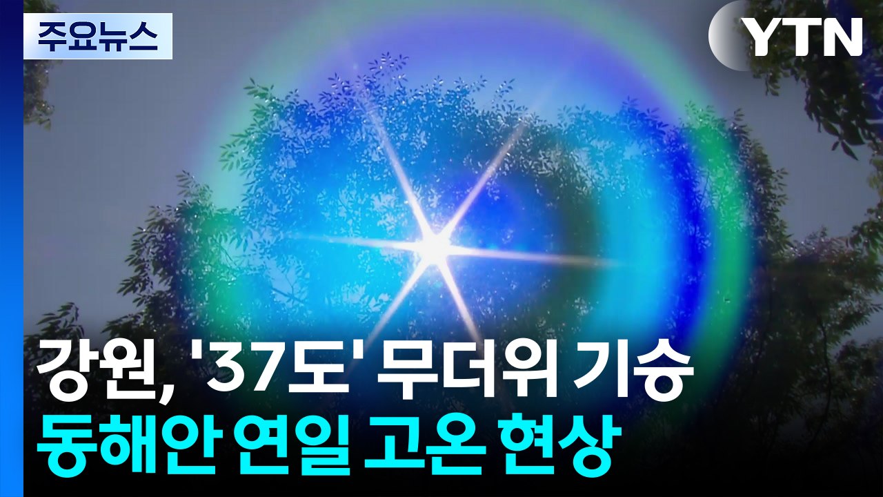 [날씨] 삼척 37.2℃, 무더위 기승...내륙 소나기, 전남 한때 호우주의보 / YTN