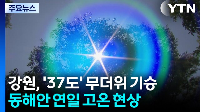 [날씨] 삼척 37.2℃, 무더위 기승...내륙 소나기, 전남 한때 호우주의보 / YTN