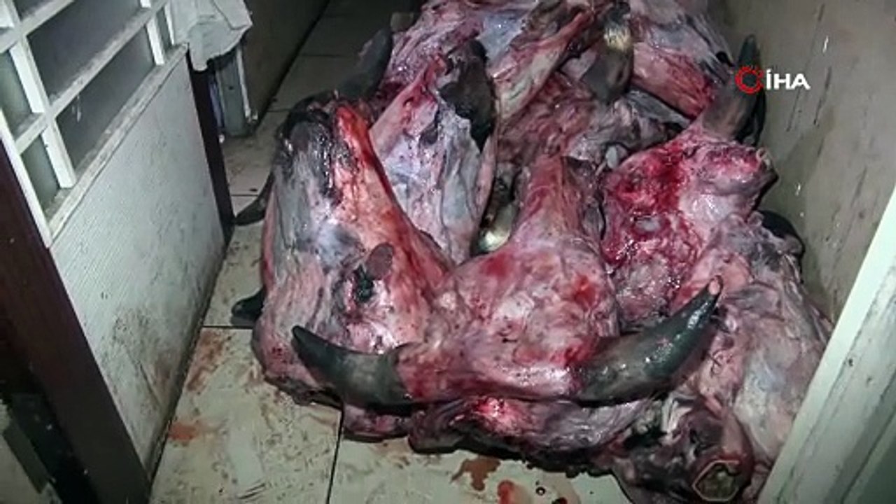 Türkiye’nin Turizm Başkentinde Gıda Skandalı! Denetimde Hamam Böcekleri, Dana Kelleleri ve Tavuk Bacakları Çıktı!