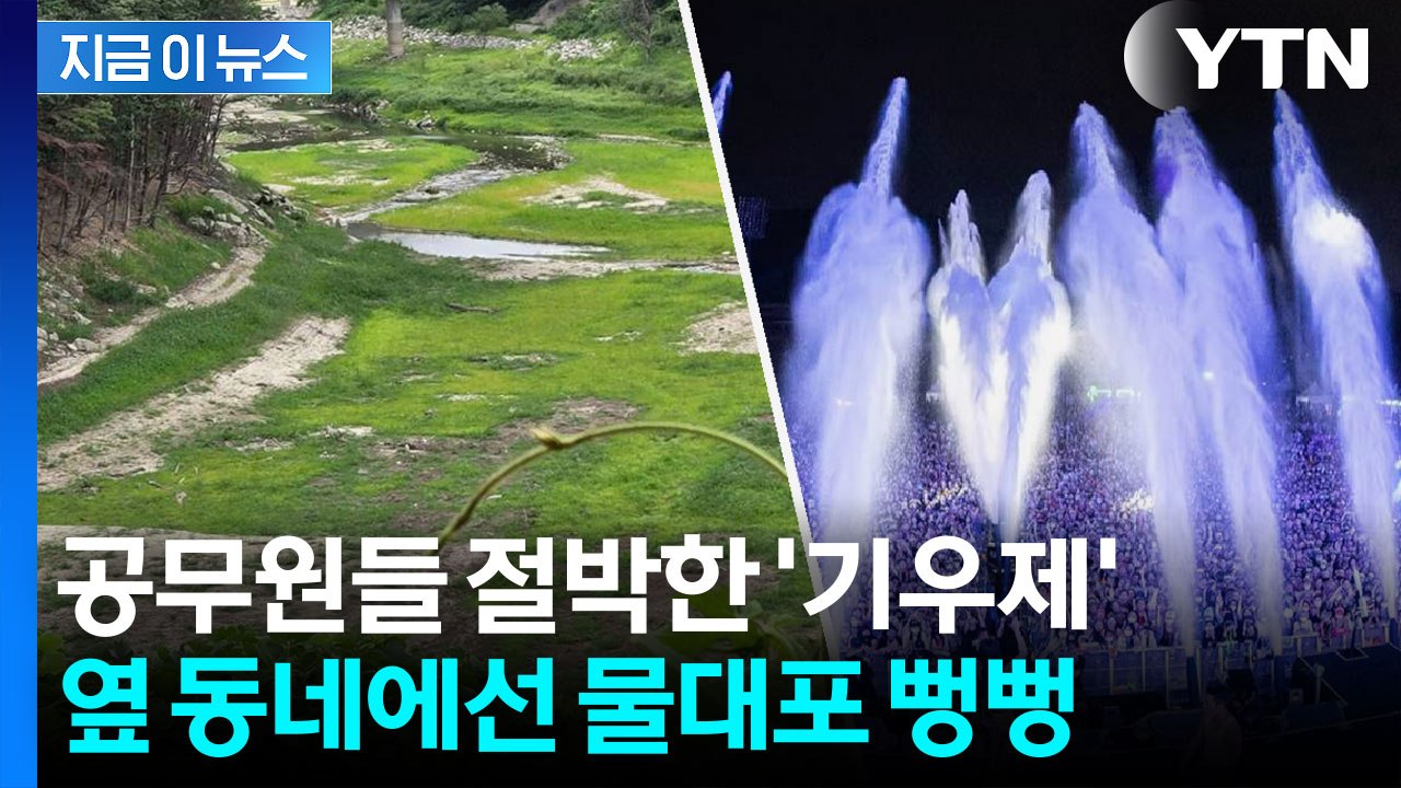 심각한 강릉·축제 앞둔 속초...같은 동해안 완전히 다른 풍경 [지금이뉴스]  / YTN