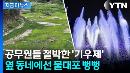 심각한 강릉·축제 앞둔 속초...같은 동해안 완전히 다른 풍경 [지금이뉴스]  / YTN