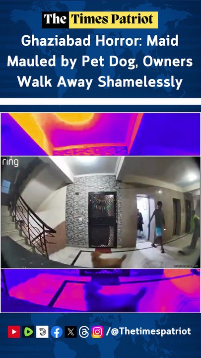 Ghaziabad Horror: Maid Mauled by Pet Dog, Owners Walk Away Shamelessly