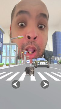 Il est trop rigolo, ce chat 🤣😅😂 #humour #drole #chats #cat #funnycats