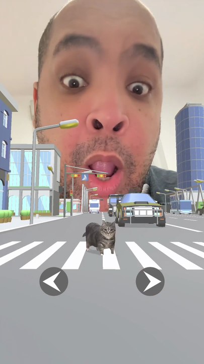 Il est trop rigolo, ce chat 🤣😅😂 #humour #drole #chats #cat #funnycats