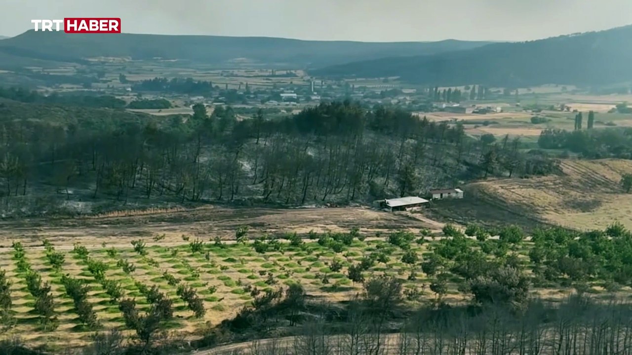 Çanakkale'deki orman yangınında ceviz bahçesi alevlerden etkilenmedi
