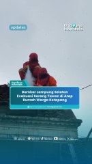 Damkar Lampung Selatan Evakuasi Sarang Tawon di Atap Rumah Warga Ketapang