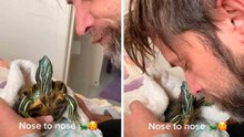 🐢✨ 거북이가 강아지처럼 행동한다면?
