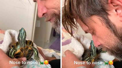 🐢✨ Wenn sich eine Schildkröte wie ein Hund benimmt!