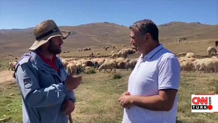 Üniversite mezunu çobanlığı seçti