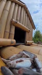 I built a tiny floating house for otters - now they can nap on the water