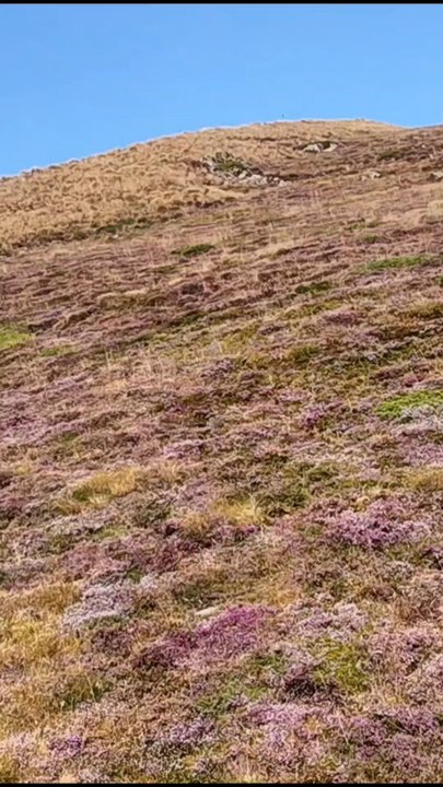 Test drone 🎥⛰️ : la montagne ressemble à un boss de jeu vidéo 👾😂. Bientôt, ces prises de vue serviront aussi à vos vidéos pros : images aériennes uniques et storytelling visuel impactant 🚀