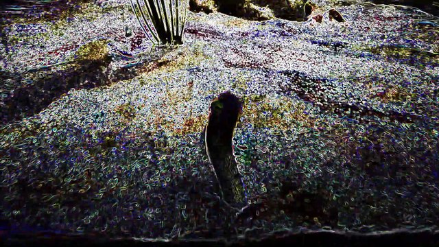 Tranced and Psychedelisized #143 - August 20, 2025