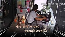 สุดขำ ! แมวเหมียวเหมือนฟังภาษาคนรู้เรื่อง เดินทำตามเจ้าของเป๊ะ