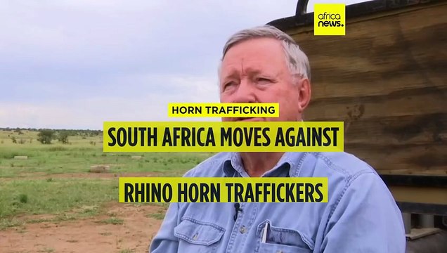 South Africa moves against rhino horn traffickers