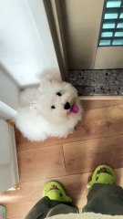 I just opened the door to get a package, but he thought I was going to sneak out to play