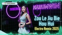 代理仁 - 走了就别后悔 (Zou Le Jiu Bie Hou Hui) Electro Remix 2025 | Harumwin