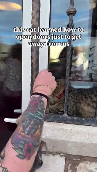 mr. bowtie said BYE BYE