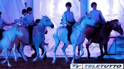 Video News - L'antica tradizione equina a Travagliato