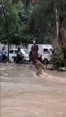 ، واہ کیا بے فکری عمر ھے۔سیلابی پانی میں بچے کا کھیلنا