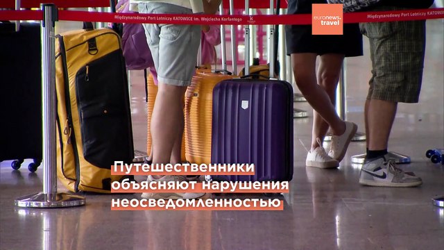 Раковины, сушёный морской конёк, изделия из кожи варана. Что лучше не привозить из отпуска?