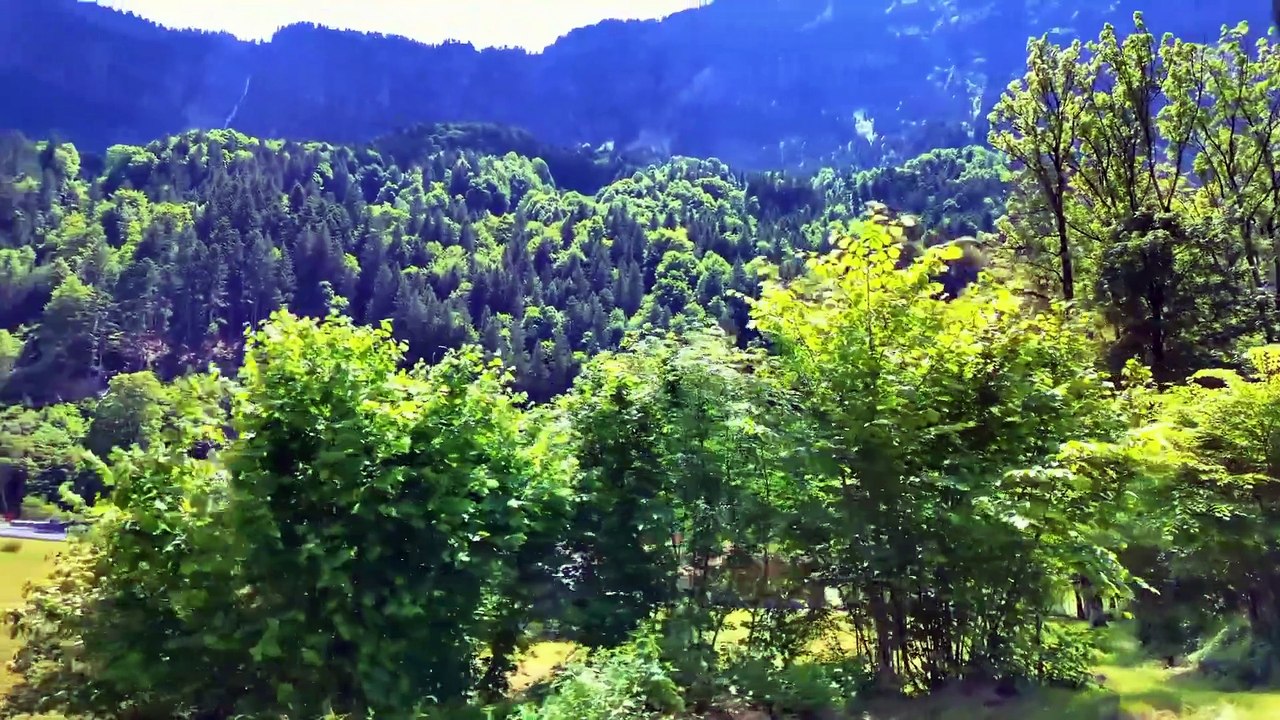 Switzerland’s Most Beautiful Train Journey – Grindelwald to Lauterbrunnen