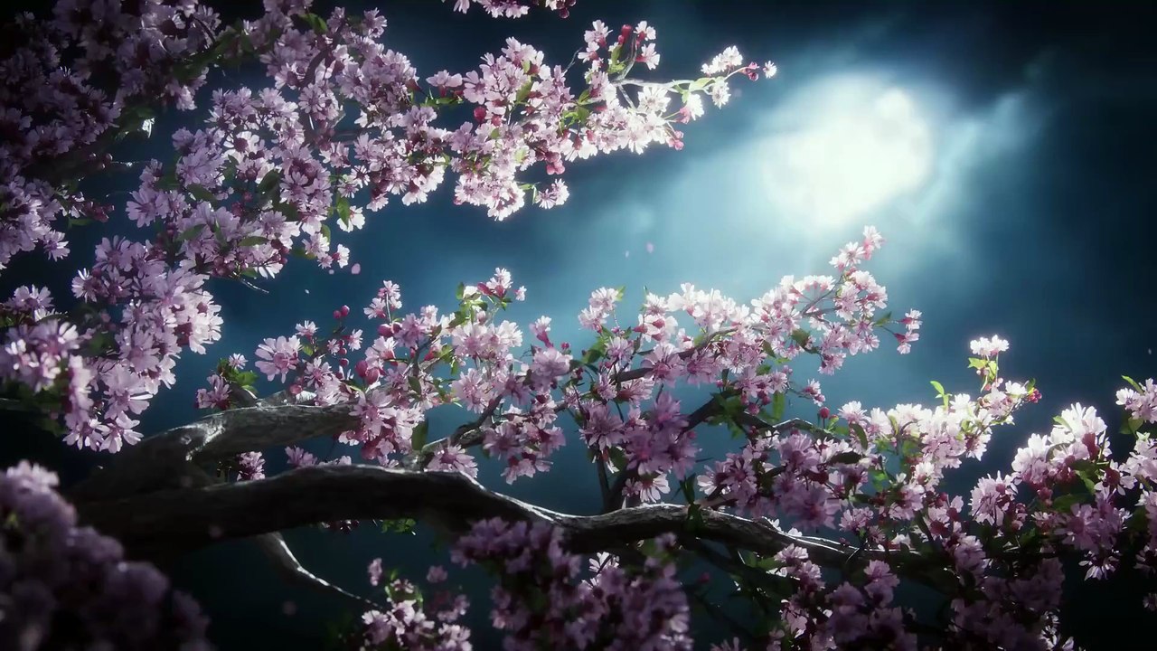 Where Winds Meet zeigt im neuen Trailer, warum das ARPG in China 15 Millionen Spieler begeistern konnte