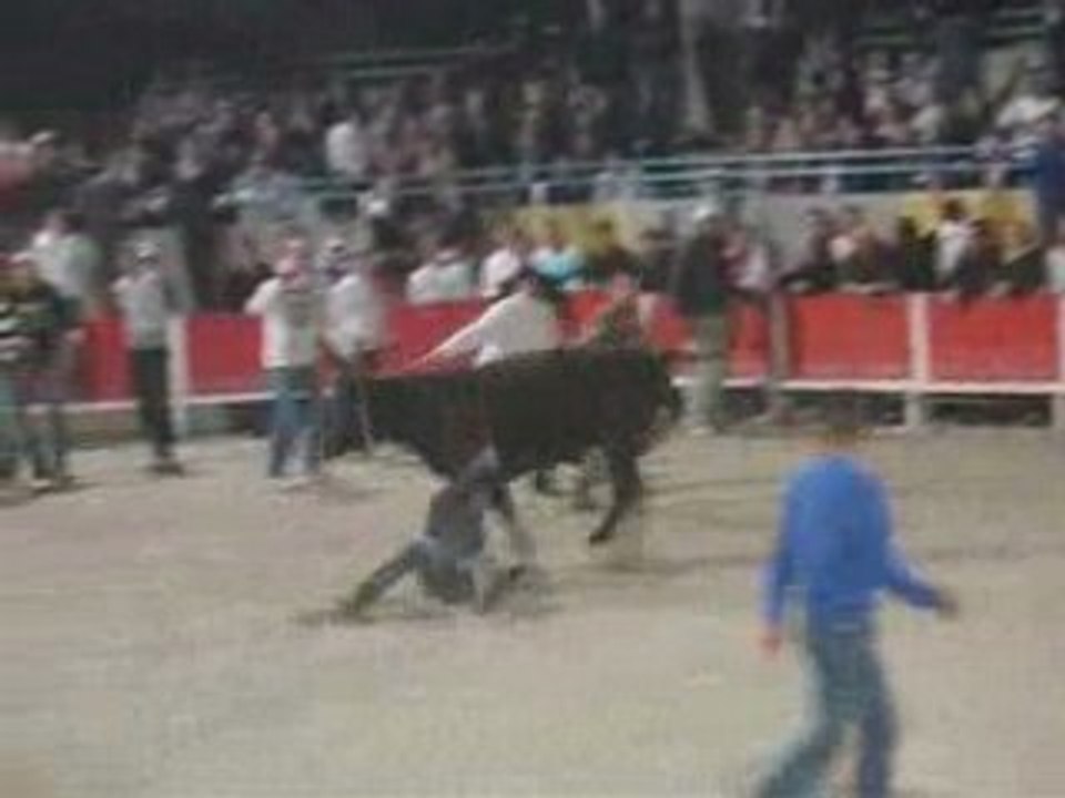 Caissargues - 11 mai 2008