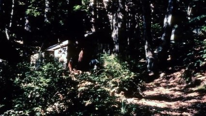 El terror (1963) - Película completa - Roger Corman