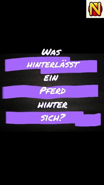 Was hinterlässt ein Pferd hinter sich_