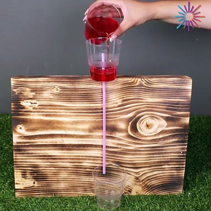 Fun siphon experiment you can try at home! 💧🏡