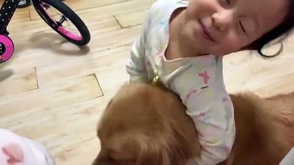 😂 Funniest Cat Moments of the Year | Cute & Funny Cat Videos