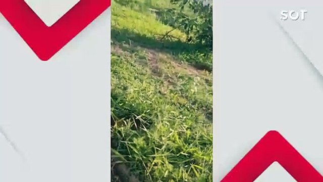 Três assaltantes morrem em confronto após perseguição cinematográfica em Foz do Iguaçu