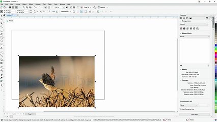 Corel Draw - Lesson 204 - Editing PowerClip