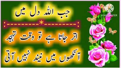 Jab Allah Dil Mein! Best Urdu Quotes🔥! Urdu Islamic Quotes💥! Islamic YouTube🔥! ISLAMIC URDU MEWAT