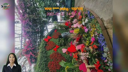 Review Kobe Nunobiki Herb Gardens Ticket & Ropeway Ticket