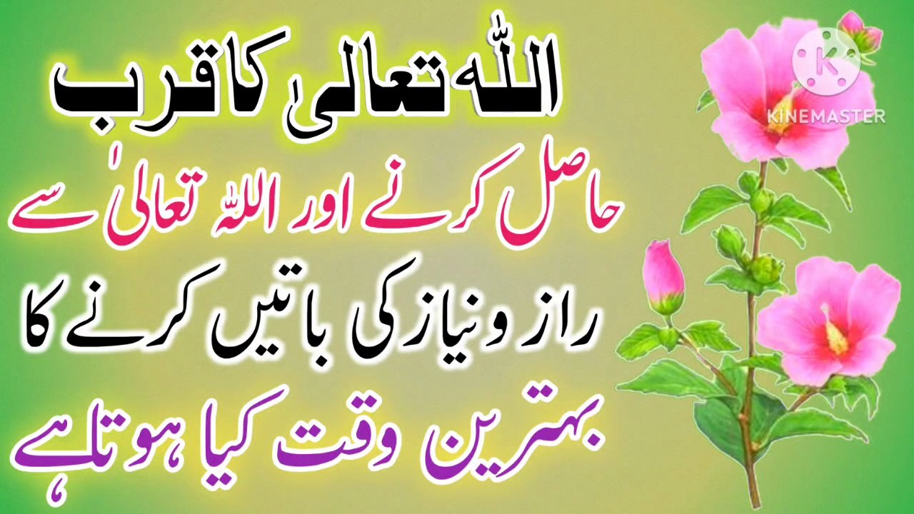 Allah Se Baat Karne Ka Behtareen Waqt! Best Urdu Quotes🔥! Urdu Islamic Quotes🔥! ISLAMIC URDU MEWAT Islamic Daily Motion Video